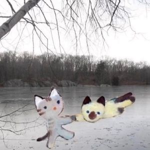 Meet your Posher, Emma